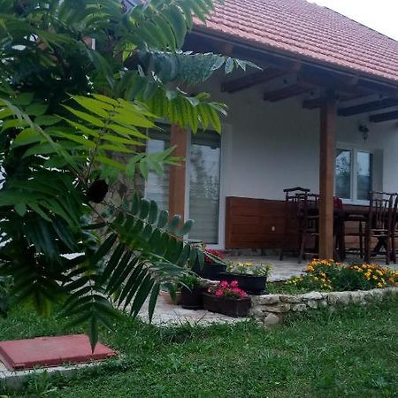 Nektar Park Villa Sara Bihać Zewnętrze zdjęcie