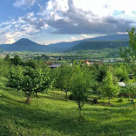 Nektar Park Villa Sara Bihać Zewnętrze zdjęcie