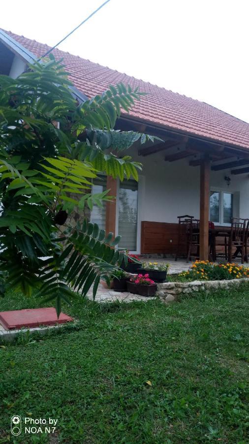 Nektar Park Villa Sara Bihać Zewnętrze zdjęcie