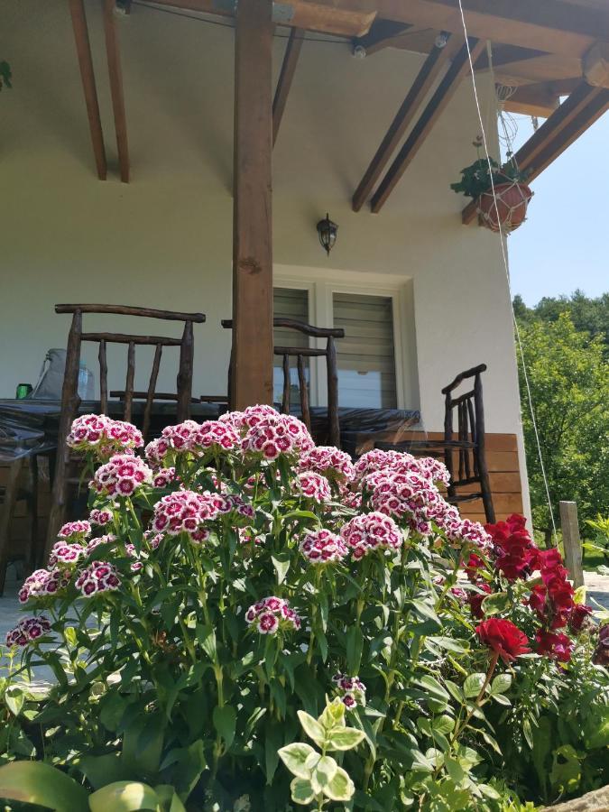 Nektar Park Villa Sara Bihać Zewnętrze zdjęcie