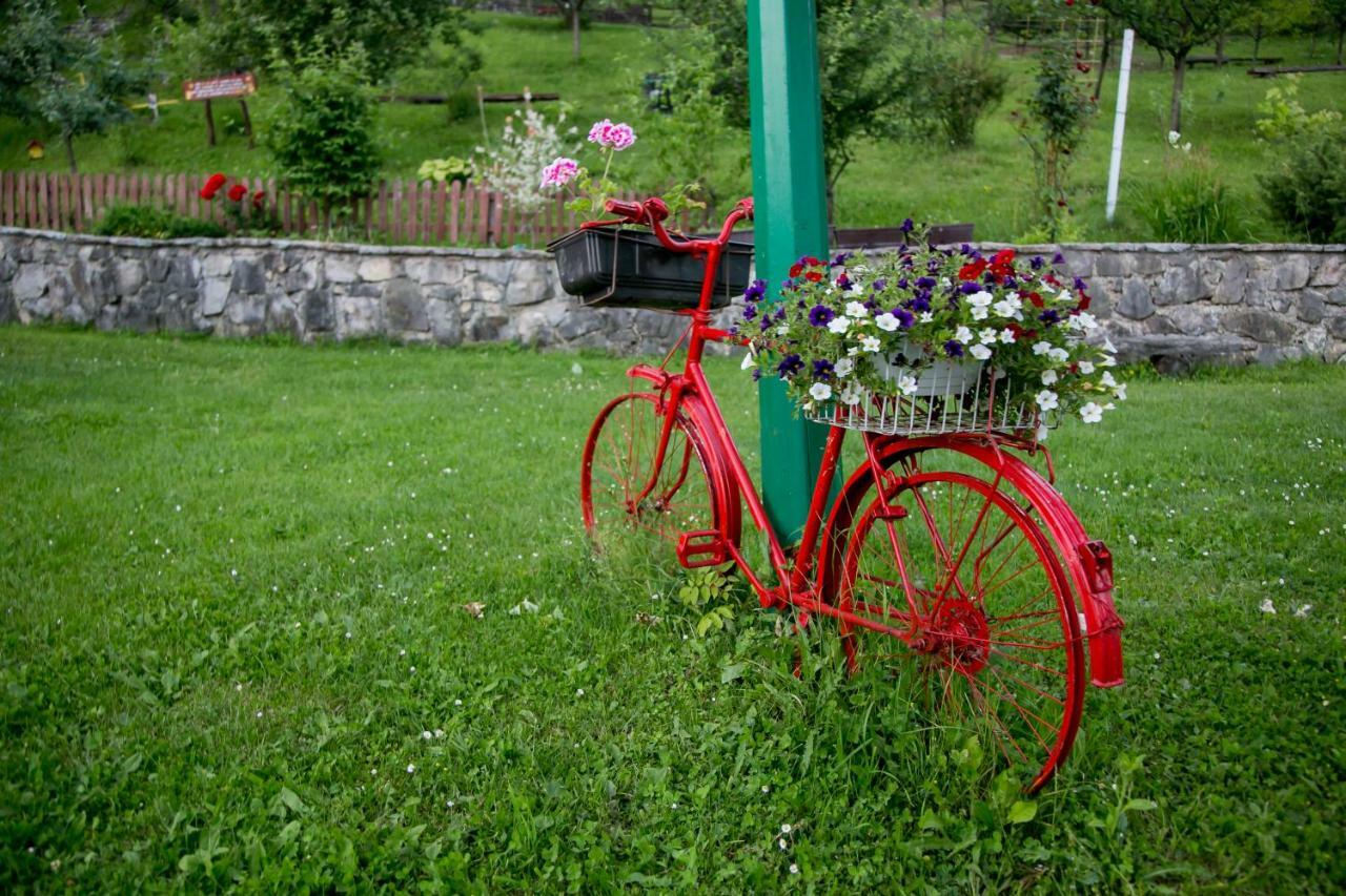 Nektar Park Villa Sara Bihać Zewnętrze zdjęcie