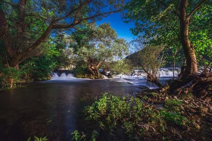Nektar Park Villa Sara Bihać Zewnętrze zdjęcie