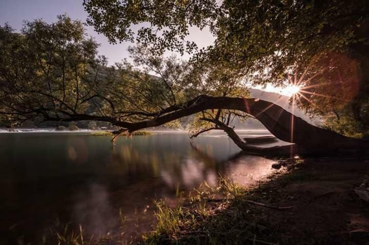 Nektar Park Villa Sara Bihać Zewnętrze zdjęcie