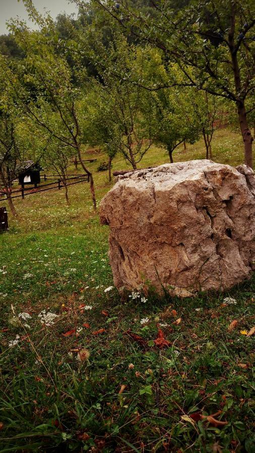 Nektar Park Villa Sara Bihać Zewnętrze zdjęcie